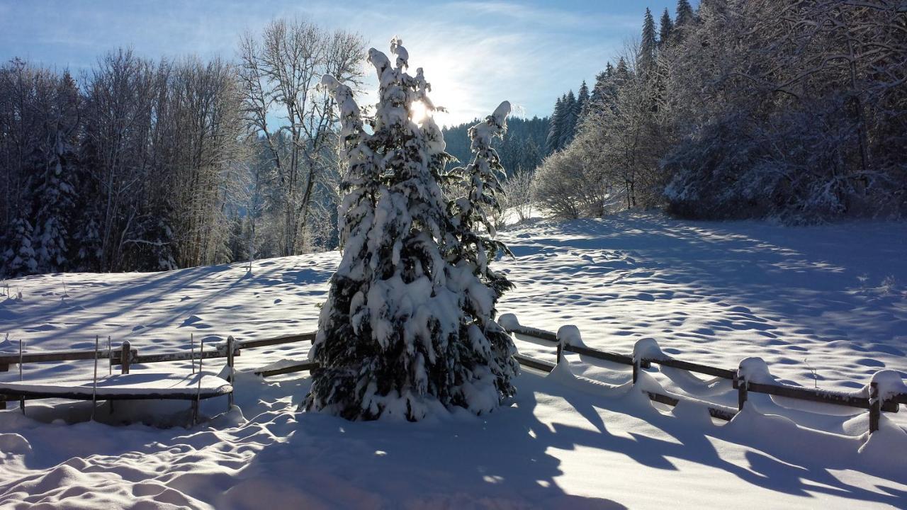 Le Bois Joli Chalet 4 Etoiles Cledicihome Cadre Paisible En Lisiere De Foret Жерарме Екстер'єр фото